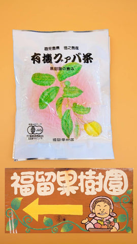 JAS認定　有機栽培茶葉使用　福留果樹園　グァバ茶ティーパック　3g×15袋　送料無料