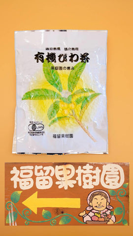 JAS認定　有機栽培茶葉使用　福留果樹園　びわ茶ティーパック　3g×15袋　送料無料